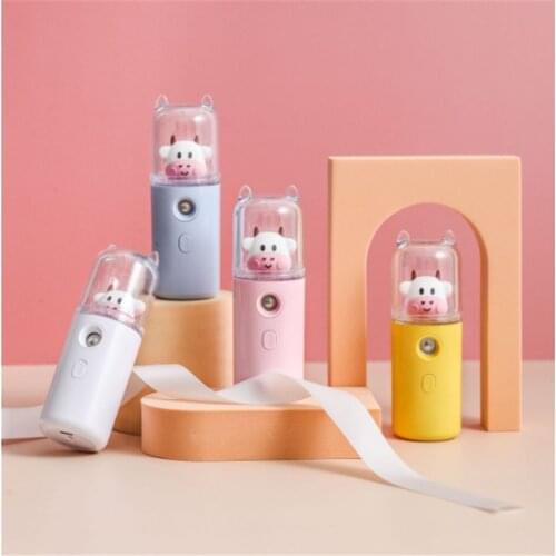 Water Replenishing Instrument Humidifier USB Rechargeable Water Replenishing Device Spray Steaming Can Spray Alcohol