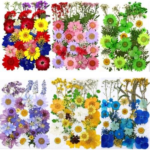 1 Pack Natural Dried Flowers For Nail Art Pressed Flowers DIY UV Epoxy Resin Filling Jewelry Decoration