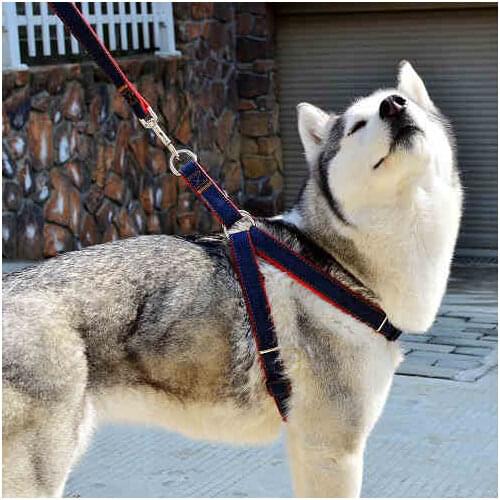 High Quality Upgraded Color Collar Large Dog Harnesses Traction Rope the Dog P Chain Pet For Medium and Large Dogs Hot E11438