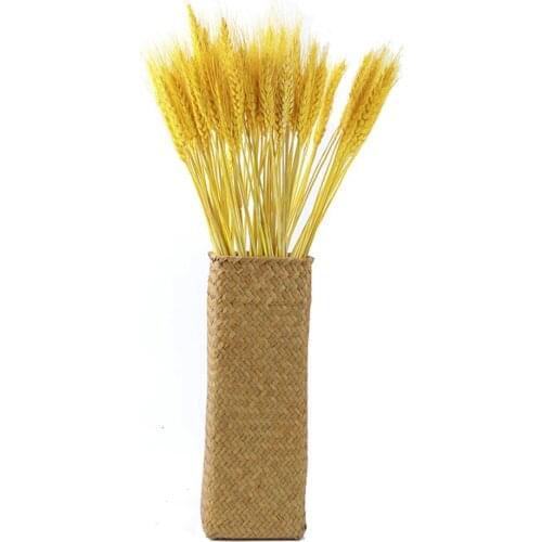 100Pcs Real Wheat Natural Dried Flowers Wedding Party Decoration Craft Scrapbook Diy Home Decoration Wheat Bouquet Photo Props