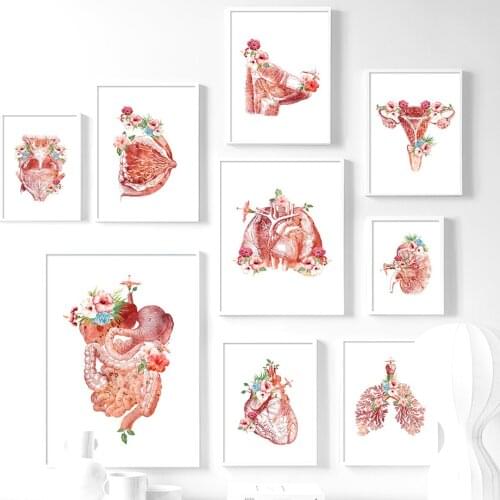 Anatomy Wall Art Flower Breast Uterus Liver Kidney Canvas Painting Nordic Posters Print Decoration Pictures For Doctors Office