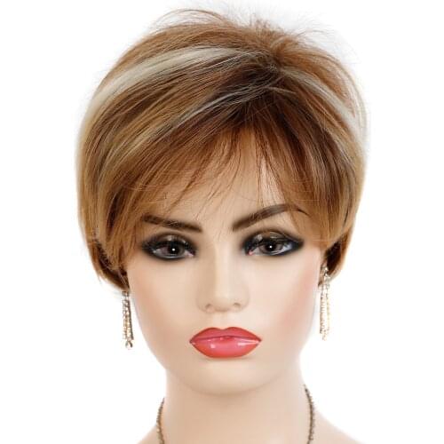 Womens Wig Black Brown Hair BFluffy Short Straight Layered Hair Synthetic Full Wigs Cosplay Wigs BY155