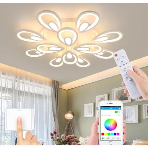 Modern indoor lighting ceiling lamp bedroom living room chandelier LED lighting fixture new