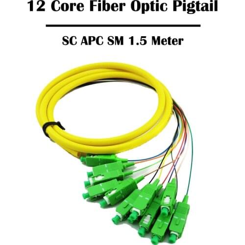 12 Core 1.5 Meters SC/APC SM Single Mode Fiber Optic Pigtail FTTH Ethernet Networking Fiber Cable