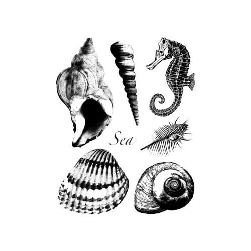 Conch Transparent Clear Stamps for DIY Scrapbooking/Card Making/Kids Christmas Fun Decoration Supplies ST0402