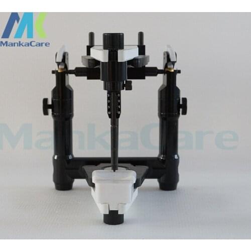 Manka Care - Average Adjustable Arti Oral Model Teeth Tooth Model