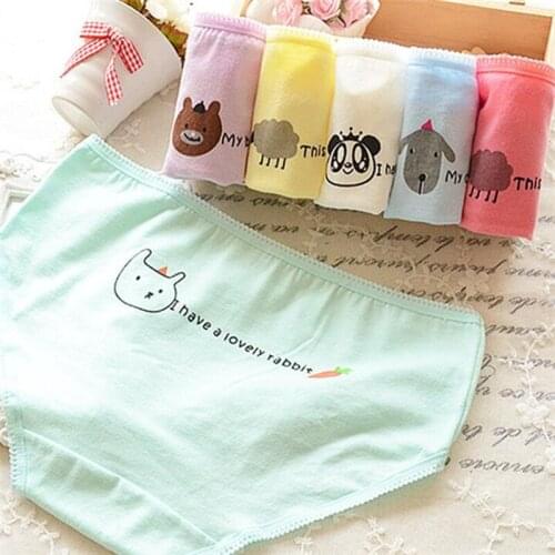 4PCS/Lot Children Cotton Underwear Young Girls Briefs Solid Low Waist Short Briefs Comfortable Ladies Panties TWY-025-4p