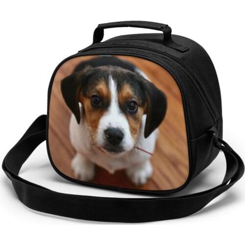 Beagle Children fashion lunch bag thermal insulated bag travel casual insulated picnic bag thermo food for kids meal bag