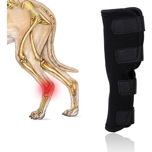Pet Leg Care for Hind Leg Hock Joint Wrap 1PC New Dog Knee Support Leg Protector Brace Breathable Injury Recover Legs