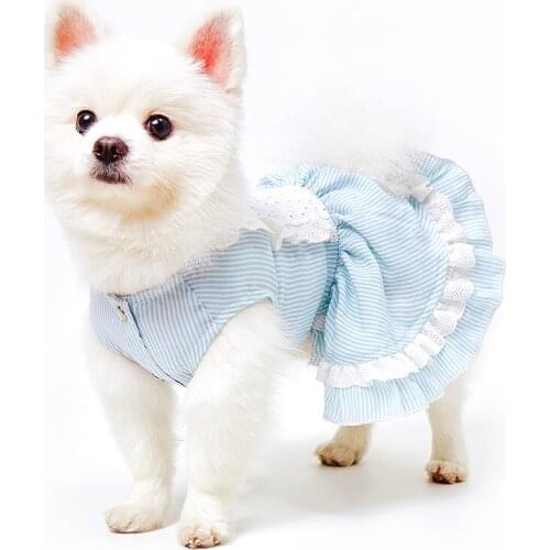 Zq Pet Dog Clothes Summer Teddy Dress Bichon Small Dog Princess Dress Free Shipping