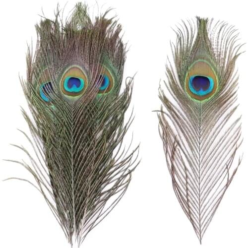 Peacock Feathers Dyed Colorful 25-30 CM Decoration for Party Headdress Clothes Sewing Crafts Plume Jewelry Accessory 10Pcs/Lot