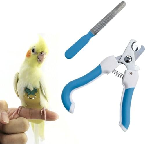 Cat Nail Clipper Pet Dog Parrot Nail Clipper Grinding Stick Stainless Steel Two-Color Cleaning Beauty Supplies Kitten Accessorie