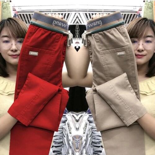 Spring Autumn Korea Fashion Women Elastic Waist Loose Pants Plus Size All-matched Casual Cotton Harem Pants Femme Trousers