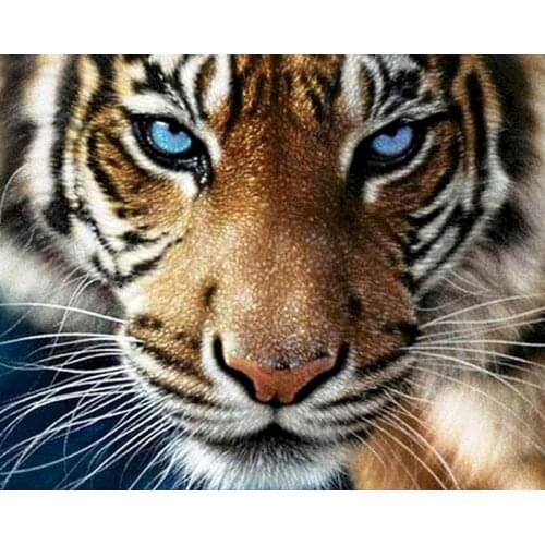 GATYZTORY Frame DIY Oil Paint By Numbers Cat And Tiger Handpaint Animals Painting By Numbers On Canvas Gift Number Painting