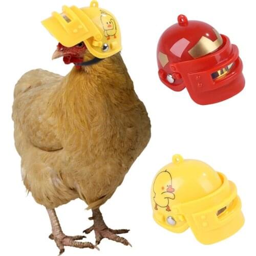 Pet Chicken Helmet Bird Duck Quail Hard Hat Head Protection Headgear Headwear new