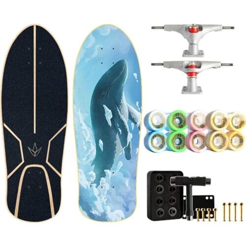 Skateboard 29"X9.8", 7-Layer Maple Skateboard Womens Mini Skateboard Free Pedal Brush Street Skateboard Gift for Beginners