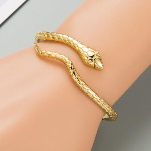 Exaggerated Punk Snake Bangles for Women Retro Copper Zircon Inlaid Cuff Armband Golden Opening Bracelet Jewelry Girls Day Gift