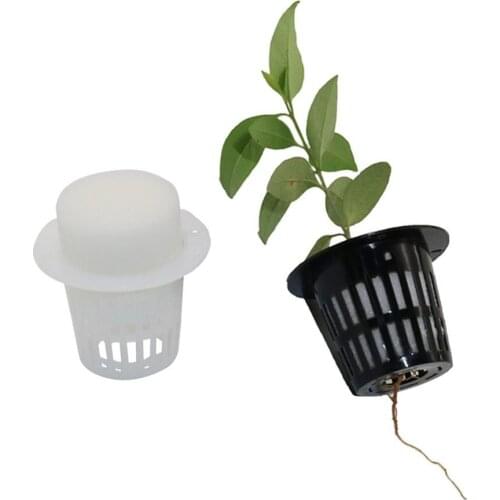 Soilless Hydroponic Nursery Cups 35x45mm Hydroponic colonization Net Pots Seedling Mesh Germinate Basket seeding Sponge 20Pcs