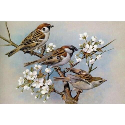 3D Diamond Embroidery Custom picture of Rhinestones Mosaic 5D DIY Diamond Painting Birds Flowers Full square /Round Decor FG1185