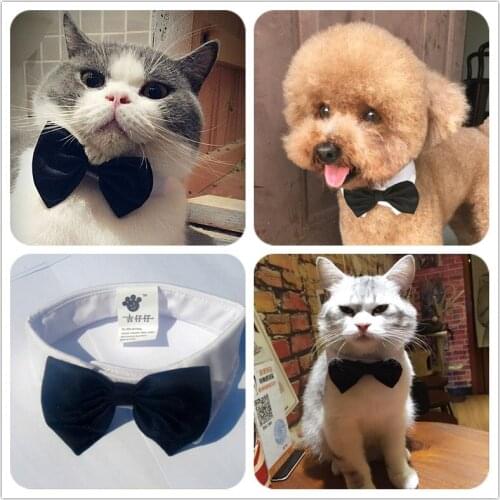 Gentle Pet Shop Dog Accessories Black Yellow Red Bows Puppies Small Animal Large Cats Pet Tie Products For Yorkshire Toy Terrier