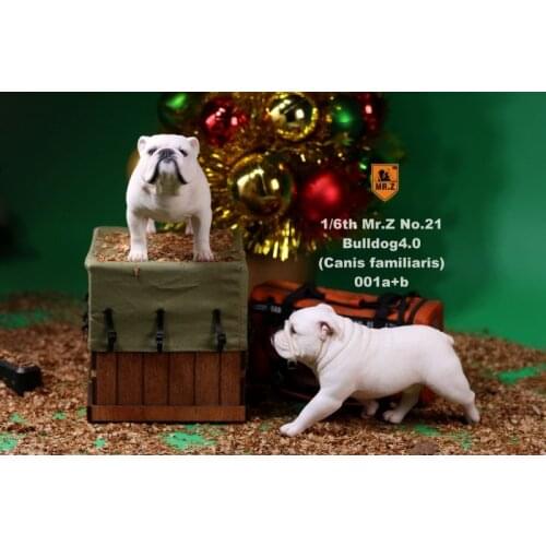 Collectible Figure Accessory 2pcs/set 1/6 Mr.Z NO.021 English Bulldog 4.0 Figure Canis Familiaris Animal Model Toy for Fans Gift