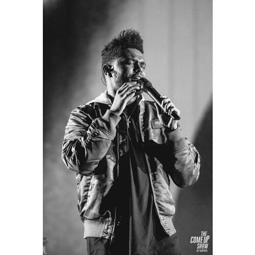 Home Decor The Weekend Music Star 6-Silk Art Poster Wall Sticker Decoration Gift