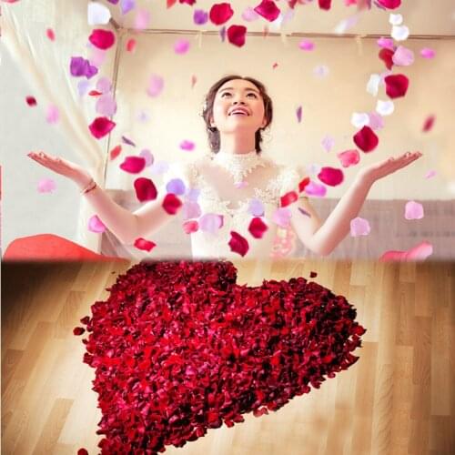 100pcs packing 5x5cm muliti-color atificial rose petals for wedding party Valentines Day decoration artificial rose petals