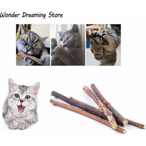 5/10/15/20pcs Pure Natural Catnip Pet Cat Toy Molar Toothpaste Branch Cleaning Teeth Silvervine Cat Snacks Sticks Pet Supplies