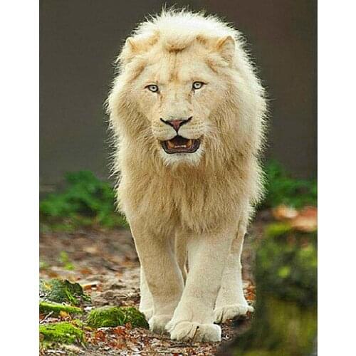 DIY 5d diamond painting cross stitch lion home Decor Full square diamond embroidery animal picture Handmade mosaic painting
