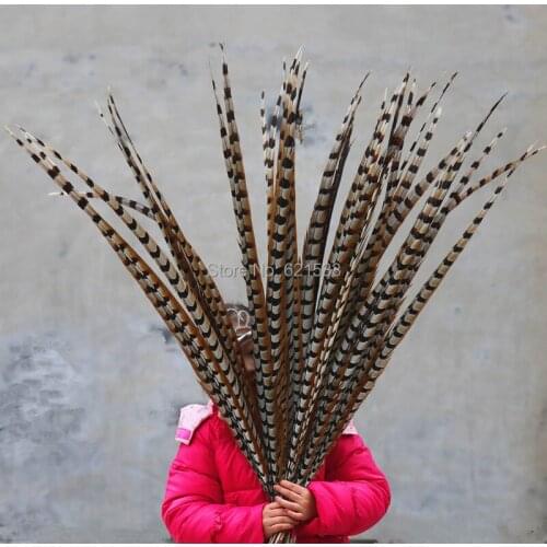 10pcs/lot,120-130CM long Extra Long Feathers,Natural Reeves Venery Pheasant Tail Feathers,Reeves Pheasant Tail feathers