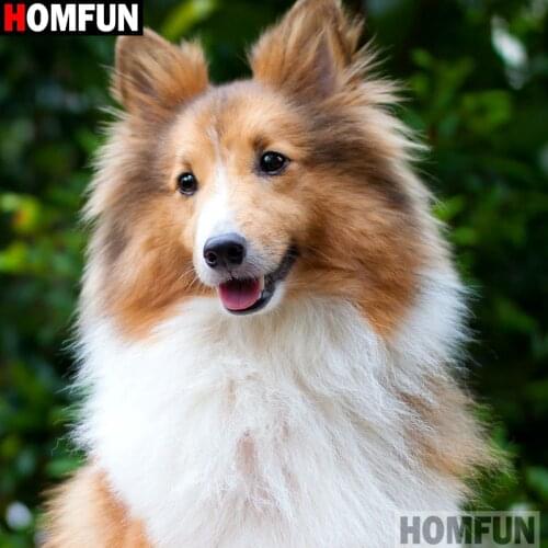 HOMFUN Full Square/Round Drill 5D DIY Diamond Painting "dog" Embroidery Cross Stitch 5D Home Decor A16219