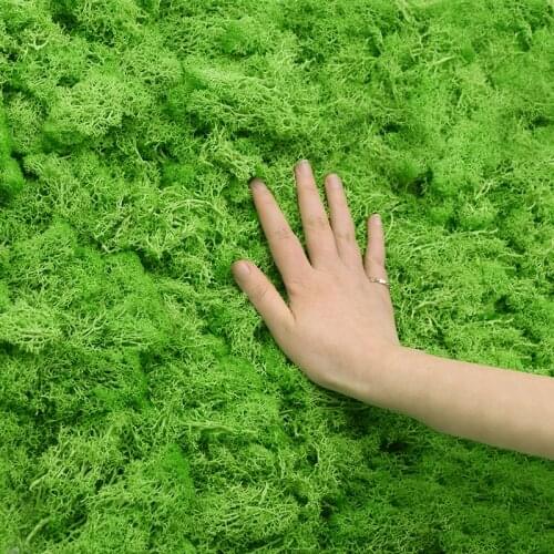 20/40g Natural Eternal Life Green Moss Artificial Plant For Home Garden Lawn Decor Grass DIY Micro Landscape Flowers Accessories
