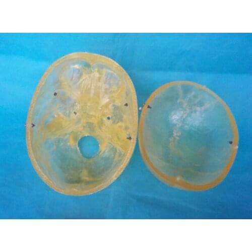 1:1 human Transparent Skull teaching medical model skeleton Anatomical model free shipping