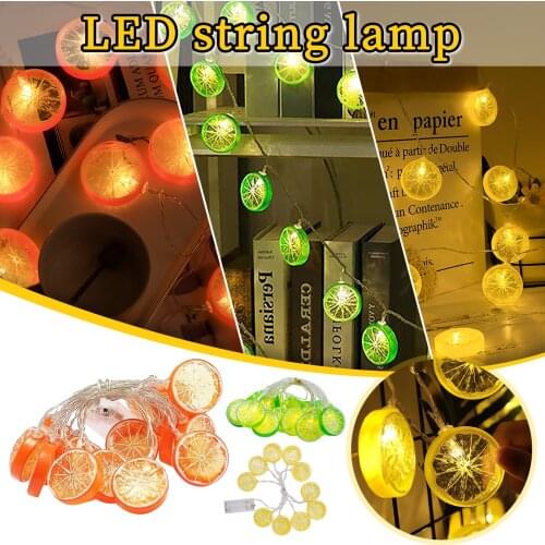LED Garlands Torcticy China