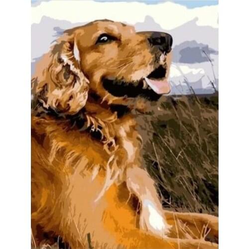 Paint By Number Dog Drawing On Canvas Gift DIY Pictures By Numbers Animal Kits Hand Painted Painting Art Home Decor