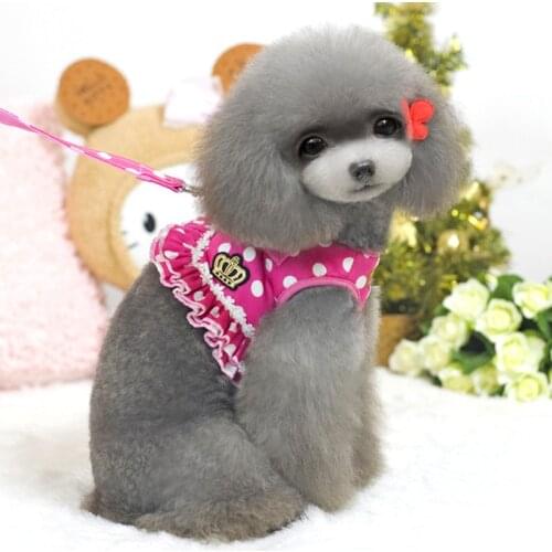 Pet Dog Leashes and Collars Set Puppy Leads for Small Dog Cat Designer Harness Pet Vest Rope Chest Strap Leash Dogs Accessories