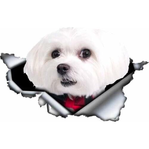 A0109# 13 cm/17 cm 3D Self-adhesive Decal Cute Maltese Dog Car Sticker Waterproof Auto Decors on Bumper Rear Window Laptop