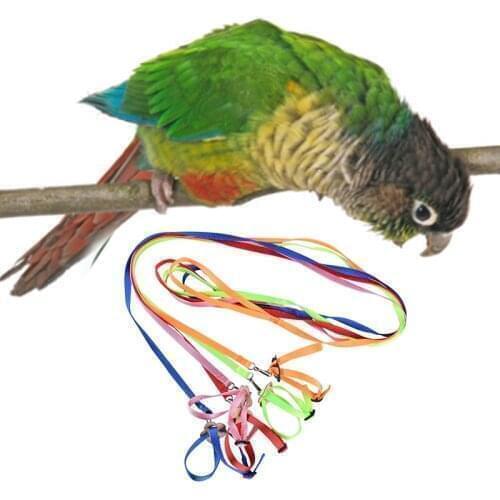 1.2M Parrot Train Leash 1cm Wide Adjustable Polyester Bird Harness Anti-Bite Rope Flying Training For Pet Products Traction Rope