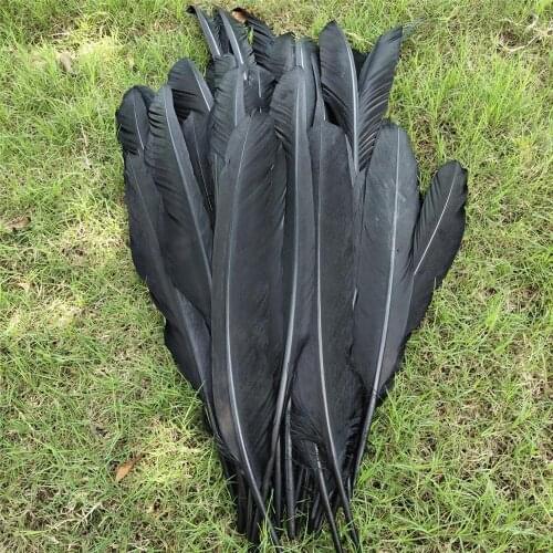Wholesale A set of 70 PCS Rare Black Pheasant Feathers 40-60cm/16-24inch Craft Making Party Headdress Hats Decoration