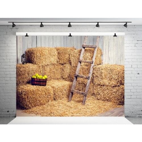 VinylBDS Village Background For Photography 10ft Children Fondo Navidad Fotografia Straw Heap Apples Digital Printing Studio
