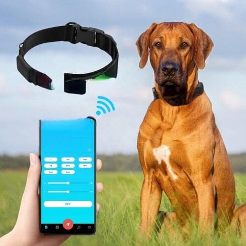 Free Drop Shipping Blue tooth Programmable LED Dog Collar DIY Text Dog Collar LED 4 Color Display Custom Glow in Dark Pet Collar