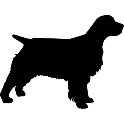 40719# Die-Cut Vinyl Decal Springer Spaniel Car Sticker Waterproof Auto Decors on Car Body Bumper Rear Window