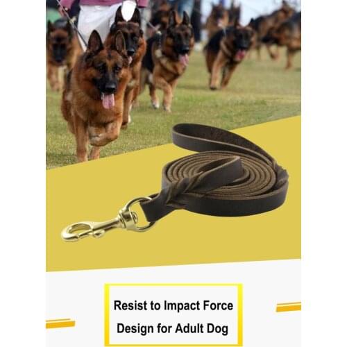 Dog Collar Rope Leash Harness Belt Lead 2.6m