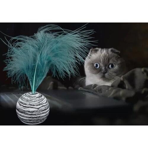 Cat Toy Ball with Feather EVA Material Light Foam Balls Throwing Toy Funny Interactive Plush Toy Stick Feather Wand Supplies