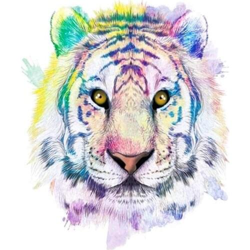 JMINE Div 5D colorful tiger Full Diamond Painting cross stitch kits art High Quality Animal 3D paint by diamonds