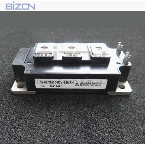 CM300DY-24NFH