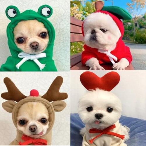 Pet Clothes Cute Fruit Plus Velvet Sweatshirt Autumn And Winter Polyester Warm Hooded Jacket Small And Medium Cats And Dogs