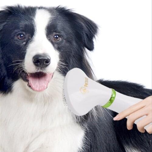 2 in 1 Dog Hair Dryer Comb Brush Adjustable Temperatures Portable Fur Blower Grooming Brush Pet Grooming Dryer Cat Hair Comb