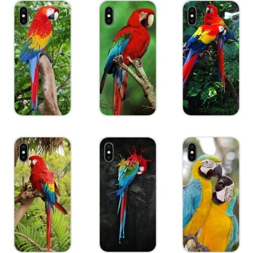 Accessories Phone Cases Covers For Samsung A10 A30 A40 A50 A60 A70 Galaxy S2 Note 2 3 Grand Core Prime Birds macaws Purple Owl