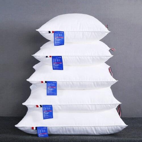 45x45/50x50/65x65/70x70 Pure Color Satin Cushion Core Throw Pillow Inner Cushion Filling Core Home Decor Supplies for Beds White